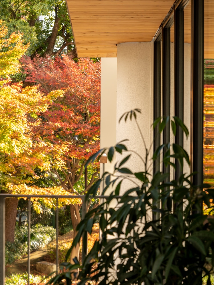 Ristorante Hamasaki 店内イメージ